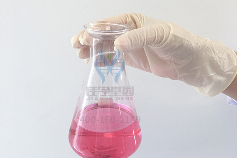 【佳学基因案例